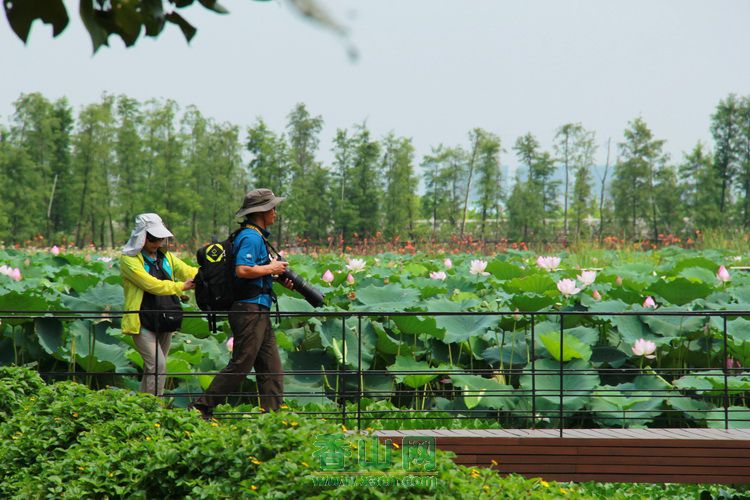斗门生态农业园十里莲江旅游开发项目